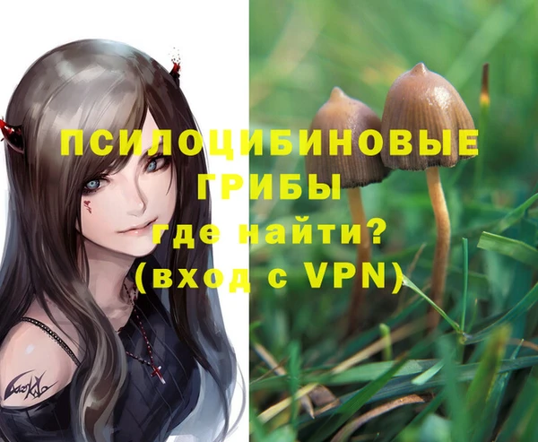 apvp Алзамай