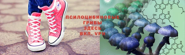 прущий лед Алексин